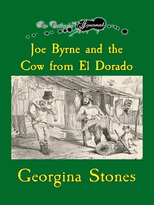 cover image of An Outlaw's Journal